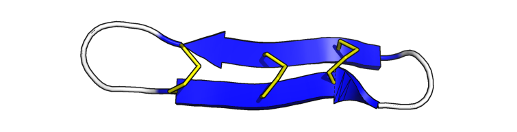 Loop of theta-defensin